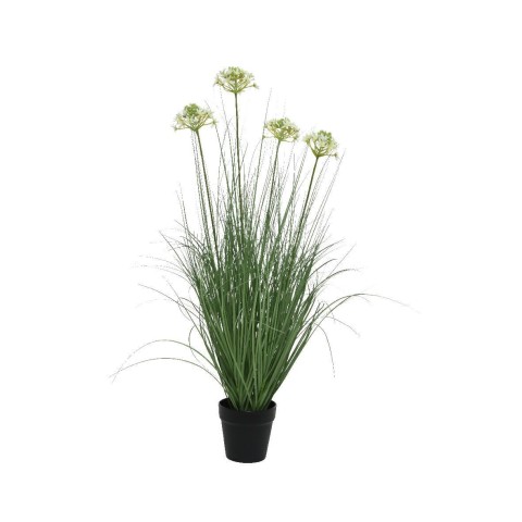 PIANTA GRASSA GREEN H90